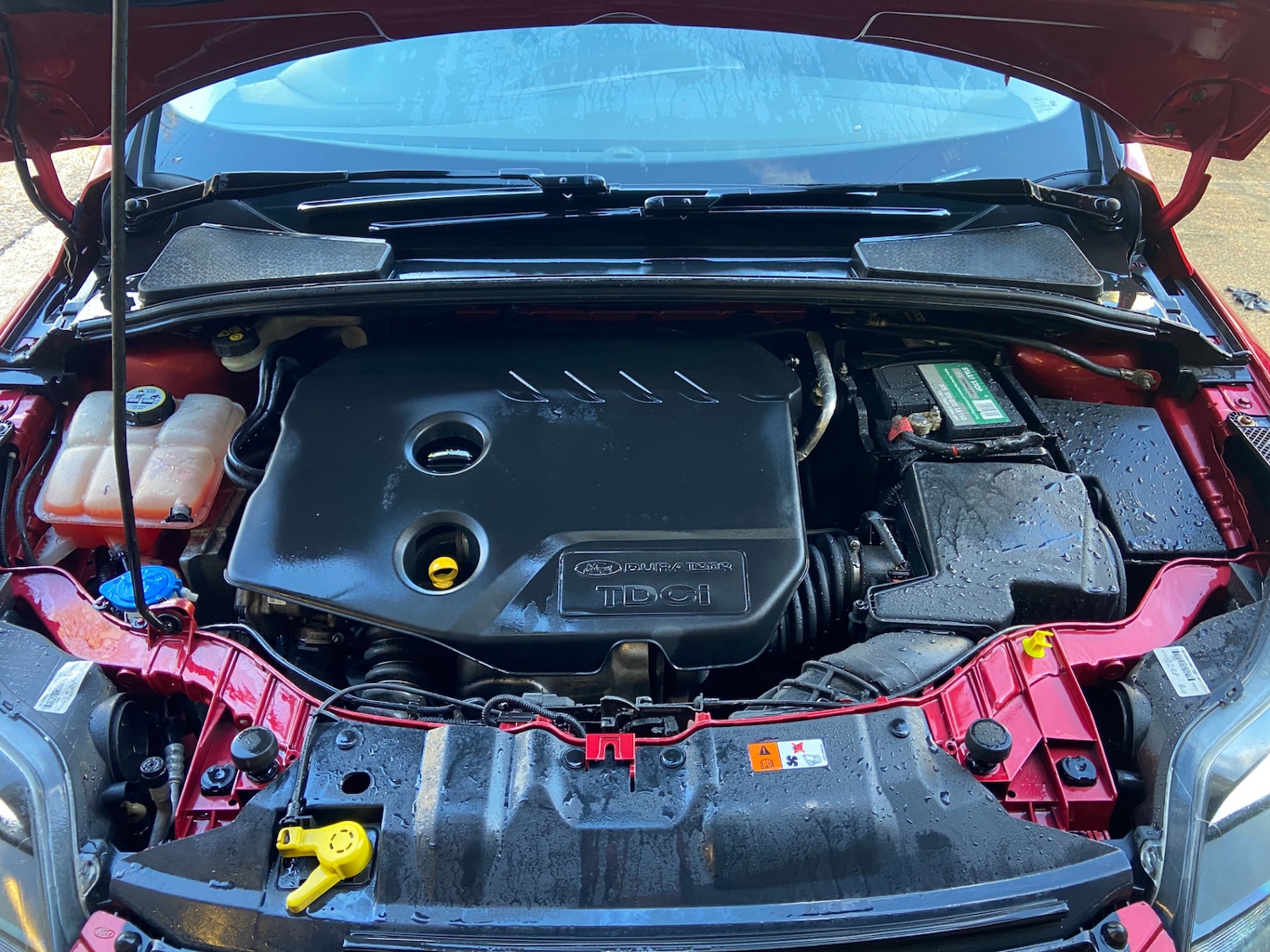 Used Ford Focus 2014 for sale - 77435651: Photo 4