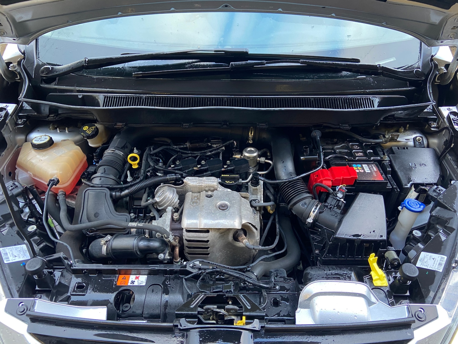 Used Ford B-MAX 2015 for sale - 77435435: Photo 5