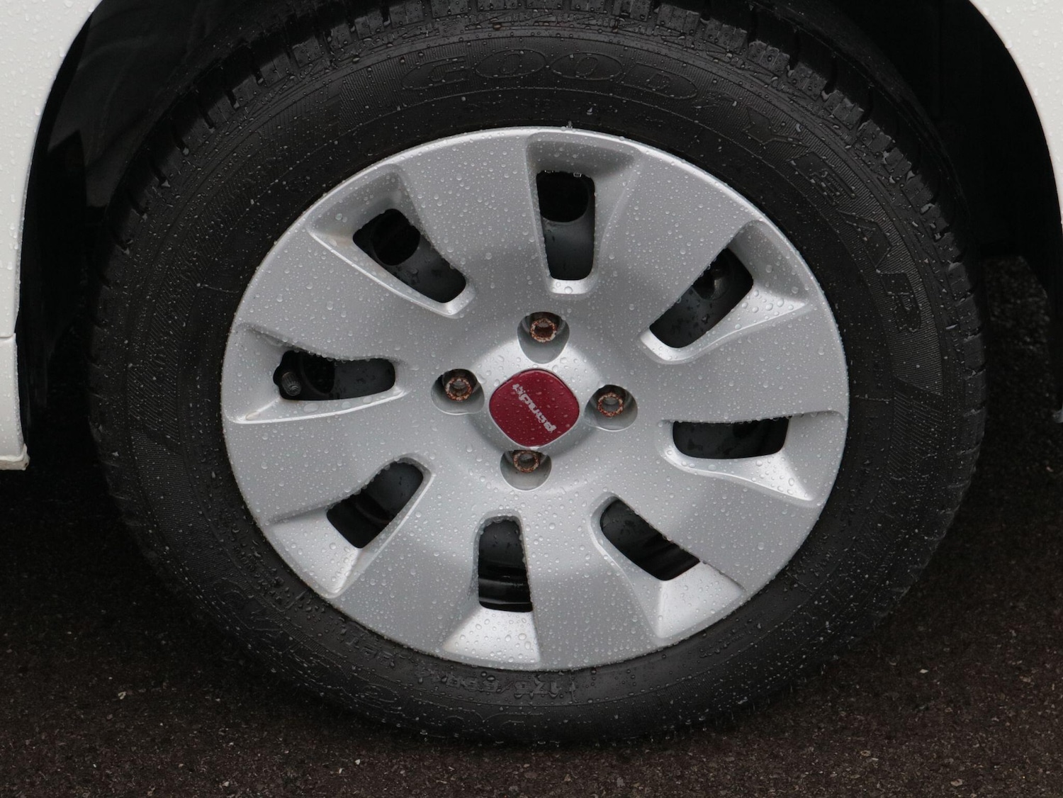 Used Fiat Panda for sale - 77704805: Photo 11