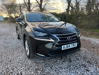 Used Lexus NX 2014 for sale - 76783758: Photo