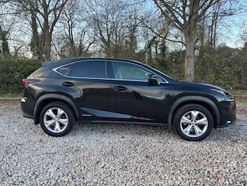 Used Lexus NX 2014 for sale - 76783758: Photo
