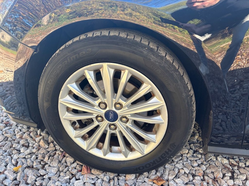 Used Ford Focus 2020 for sale - 77369158: Photo 20