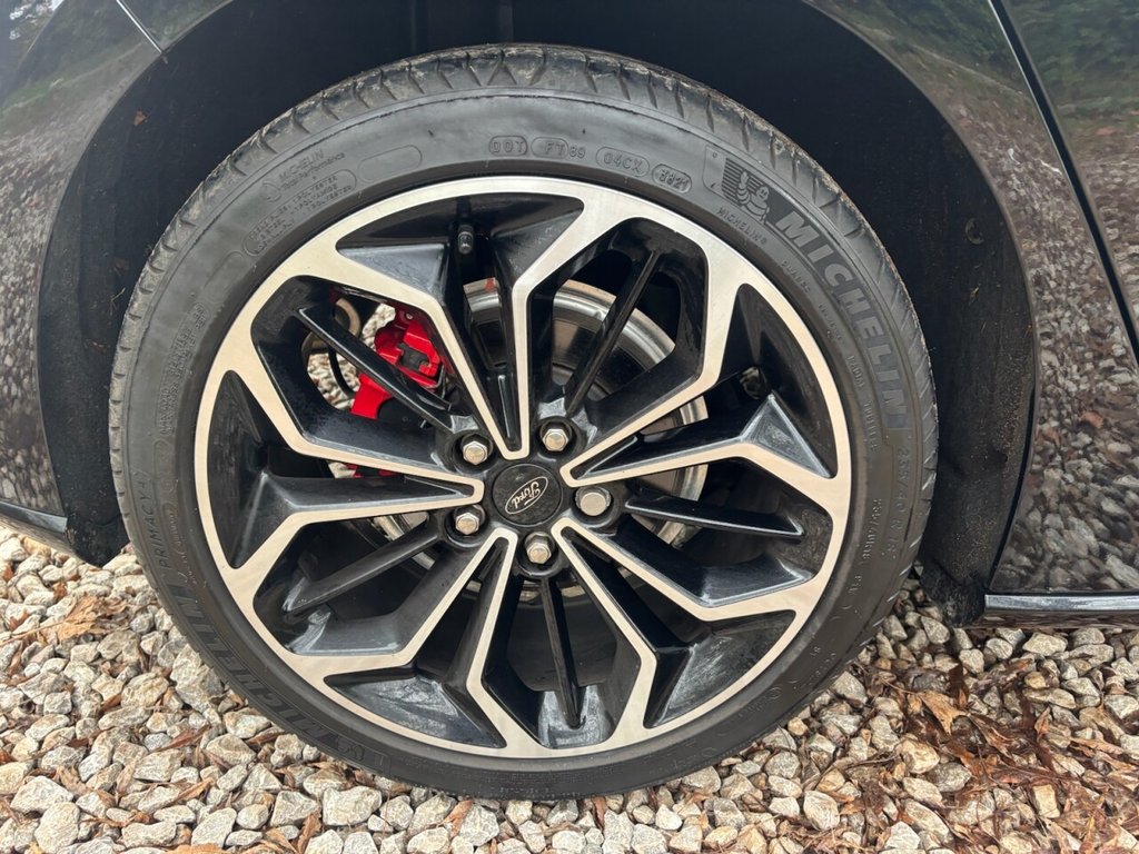 Used Ford Focus 2021 for sale - 77165871: Photo 20