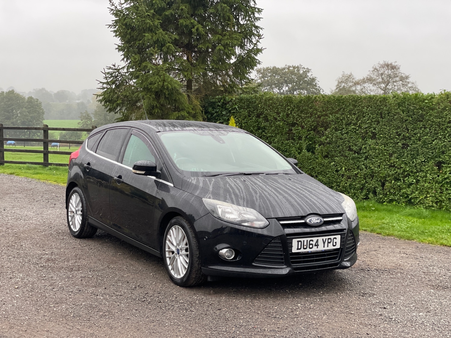 Used Ford Focus 2014 for sale - 76316930: Photo 4