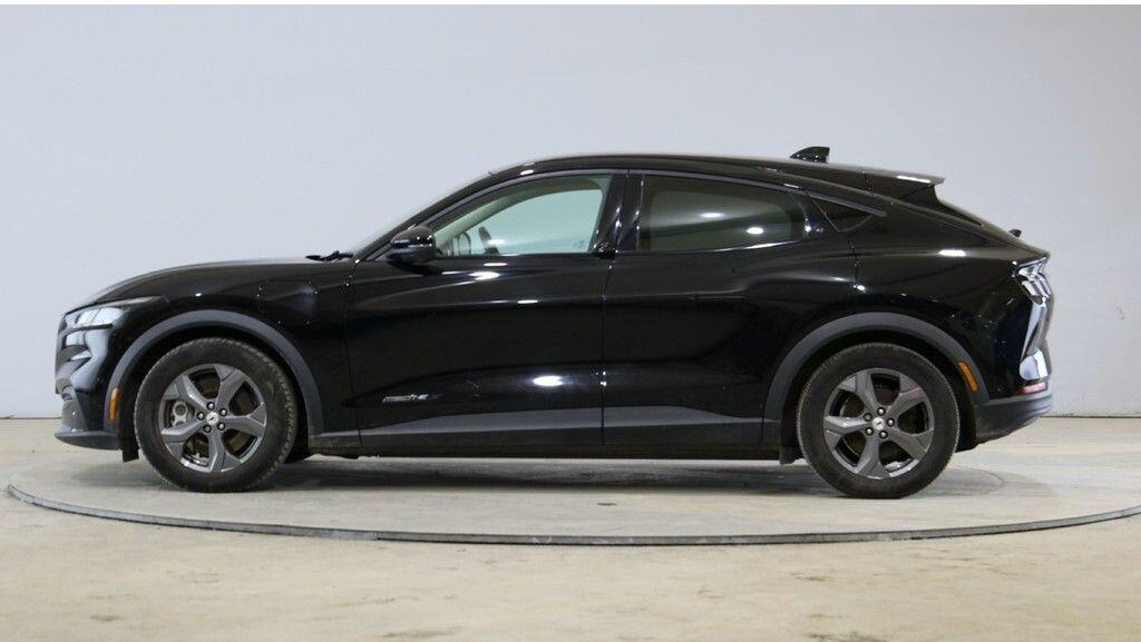 Used Ford Mustang Mach-E 2021 for sale - 76189568: Photo 6