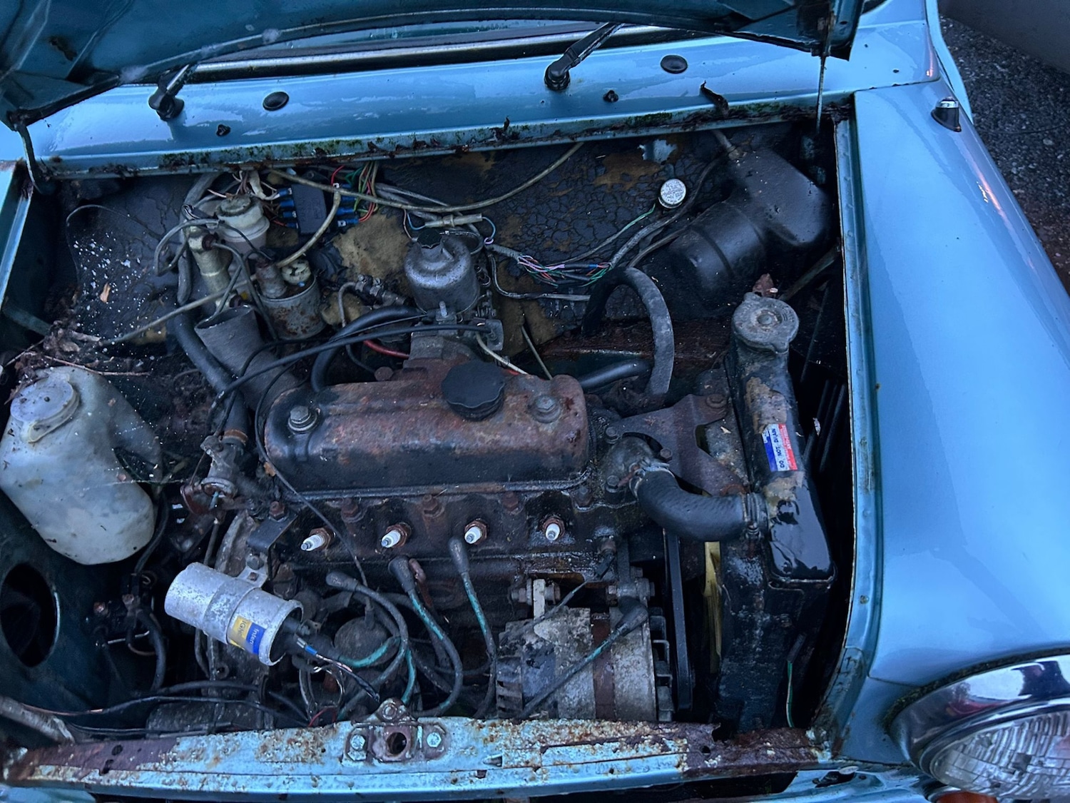 Used Austin Mini 1983 for sale - 77404255: Photo 7