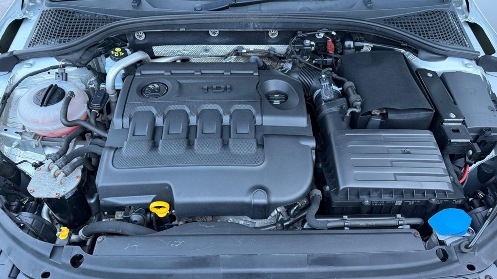 Used Skoda Octavia 2015 for sale - 77621156: Photo 15