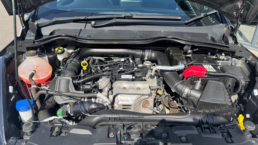 Used Ford Fiesta 2017 for sale - 76820703: Photo 10