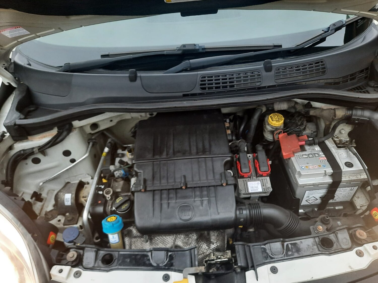 Used Fiat Panda 2012 for sale - 77418495: Photo 12