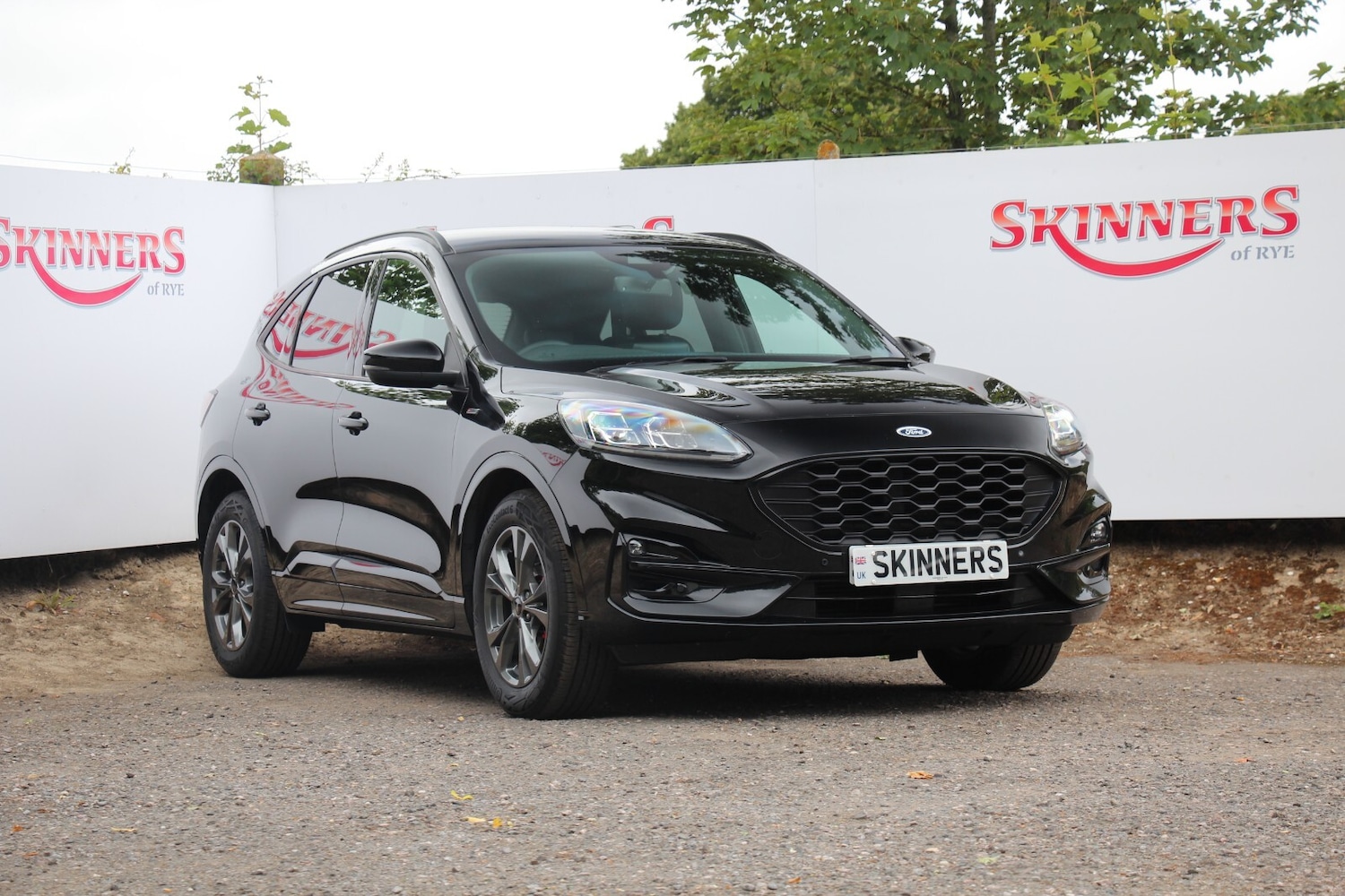 Used Ford Kuga 2021 for sale - 76635252: Photo 1