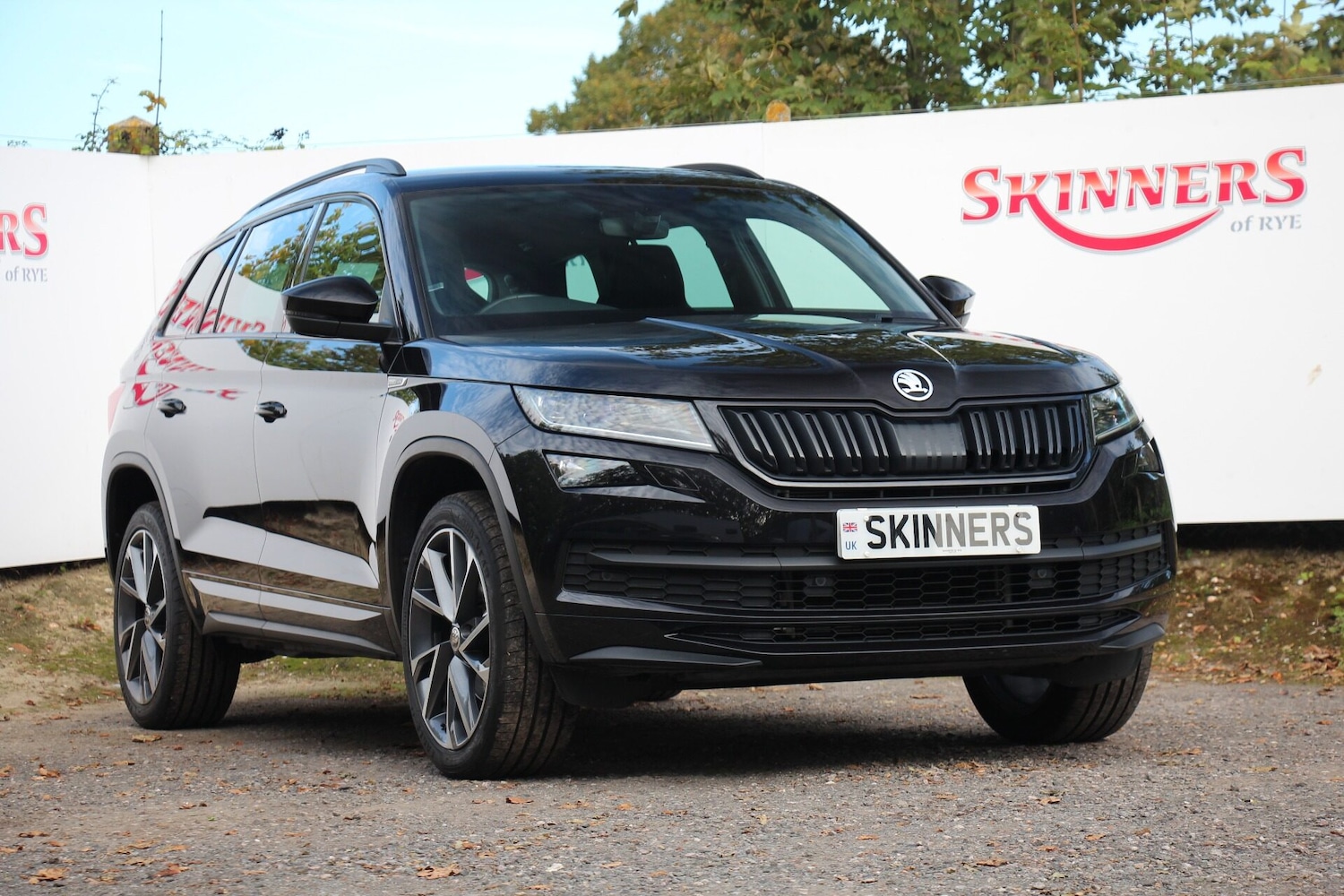 Used Skoda Kodiaq 2020 for sale - 75996671: Photo 1