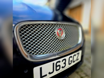 Used Jaguar XF 2013 for sale - 77564437: Photo