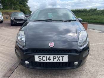Used Fiat Punto 2014 for sale - 74745974: Photo