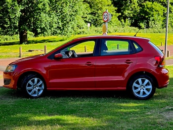 Used Volkswagen Polo 2010 for sale - 78895161: Photo