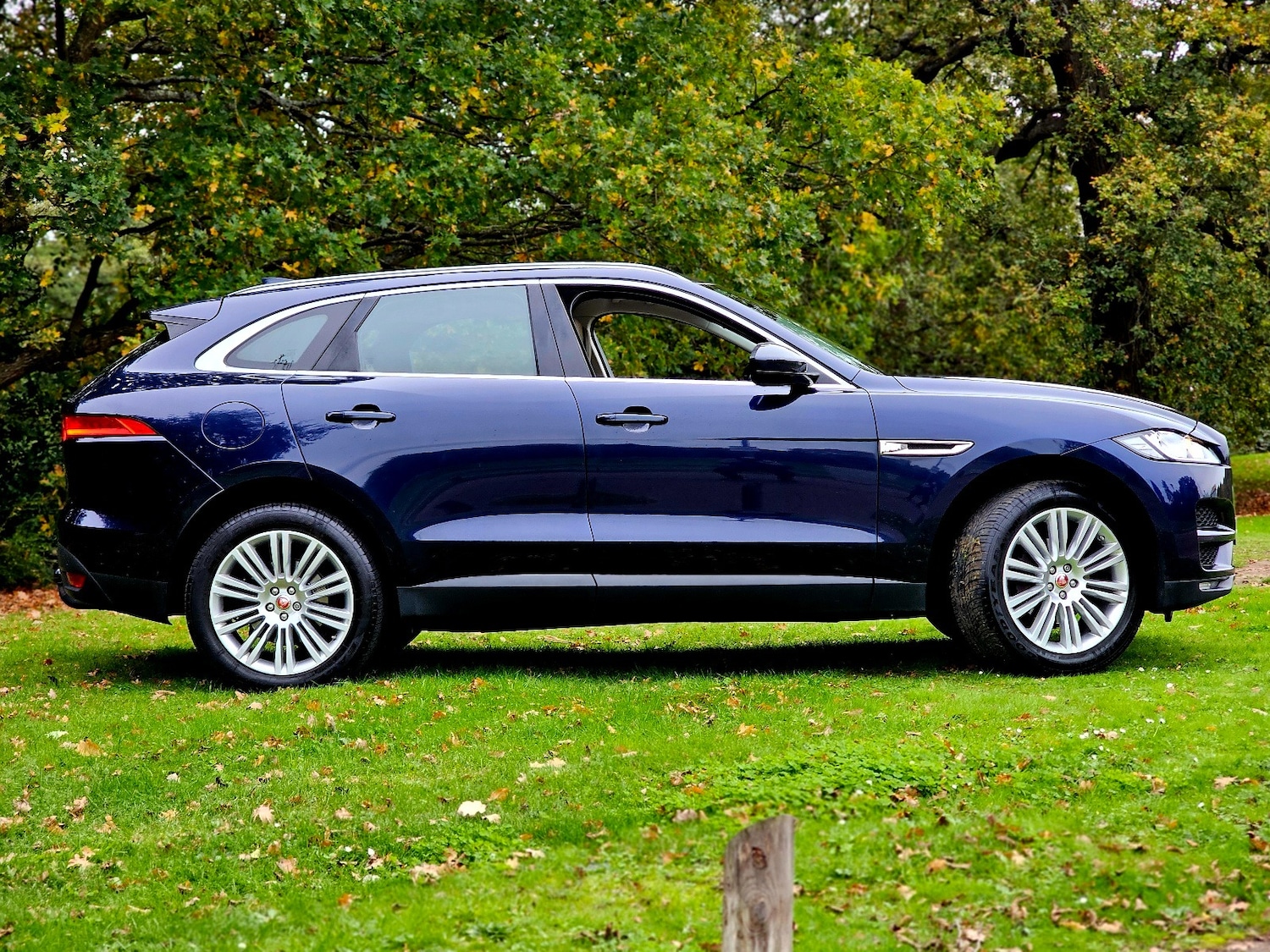 Used Jaguar F-Pace 2016 for sale - 76379596: Photo 3