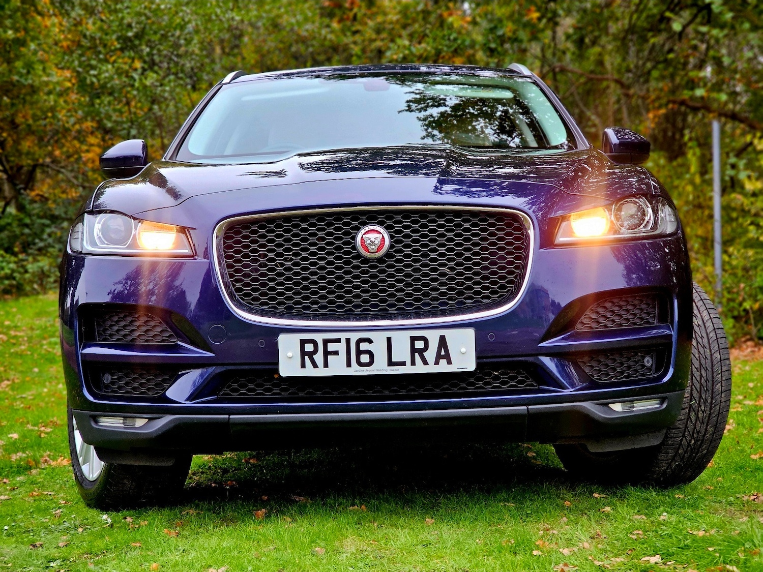 Used Jaguar F-Pace 2016 for sale - 76379596: Photo 5