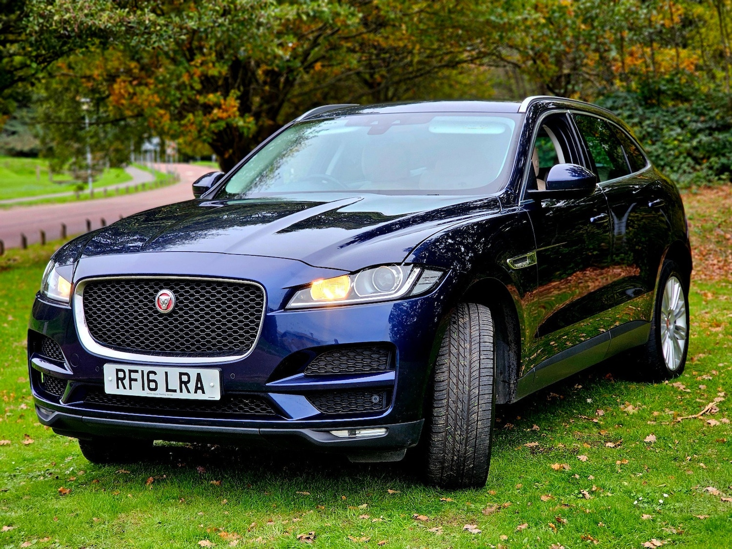 Used Jaguar F-Pace 2016 for sale - 76379596: Photo 7
