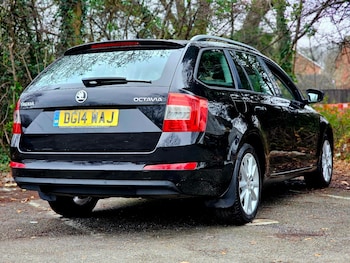 Used Skoda Octavia 2014 for sale - 77028173: Photo