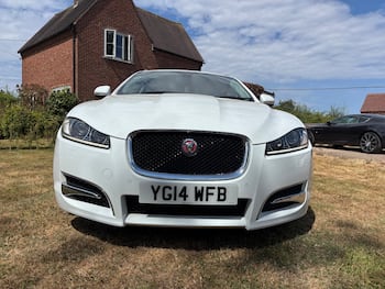Used Jaguar XF 2014 for sale - 79320346: Photo