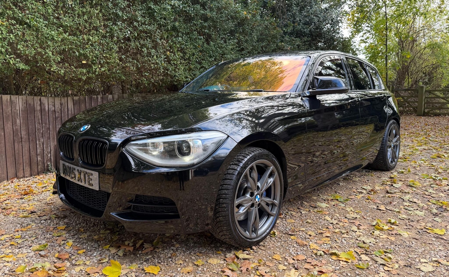 Used BMW 1 Series 2015 for sale - 76550034: Photo 3