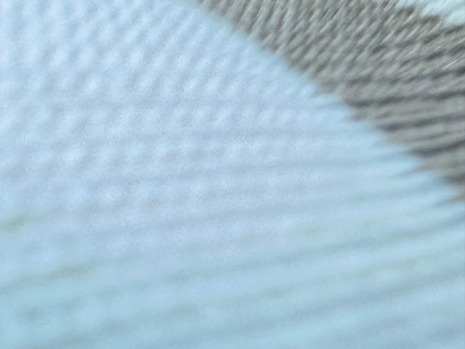 Used Citroen Dispatch 2017 for sale - 77387179: Photo 38