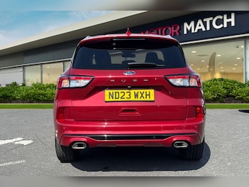 Used Ford Kuga 2023 for sale - 79494943: Photo