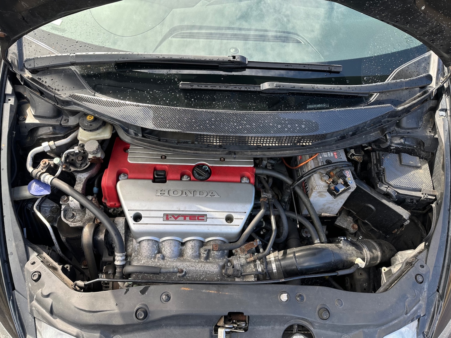 Used Honda Civic 2008 for sale - 78012302: Photo 18