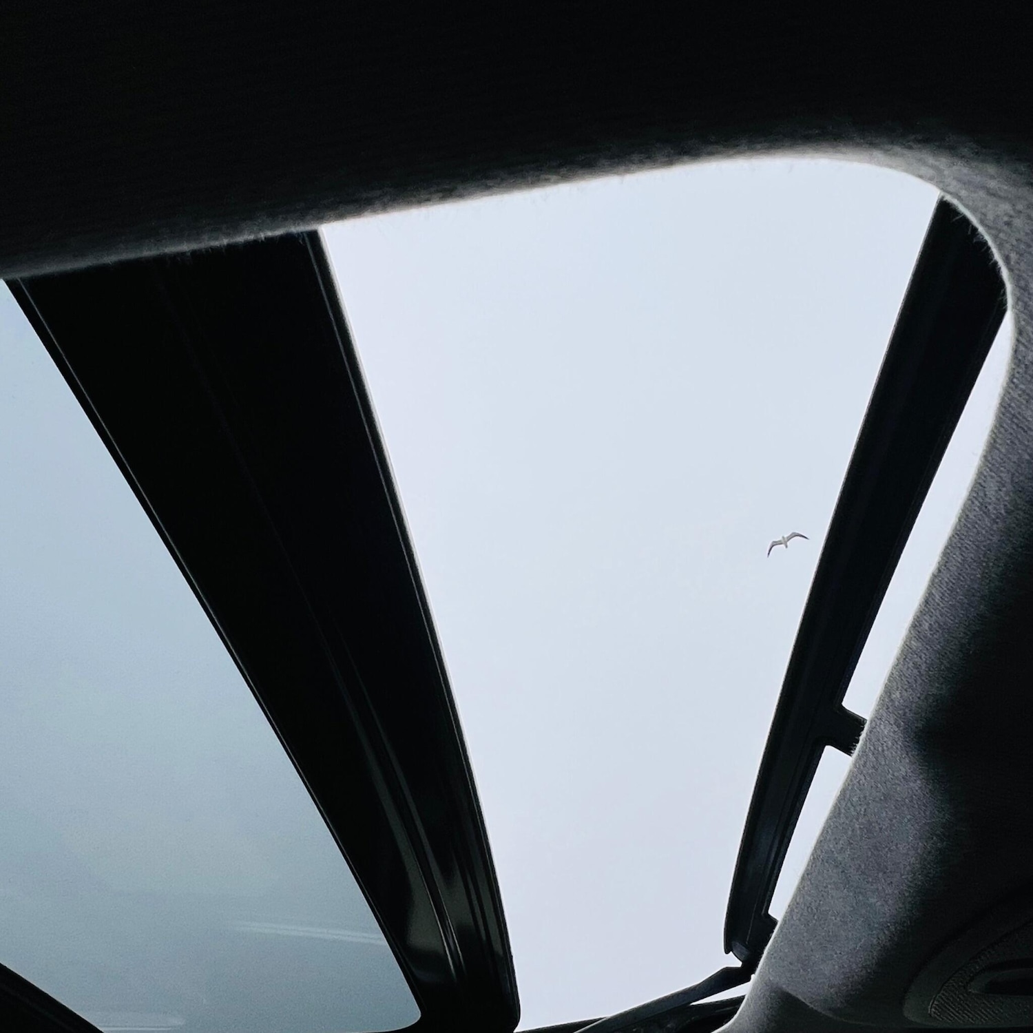 Used Suzuki Vitara for sale - 77824282: Photo 24