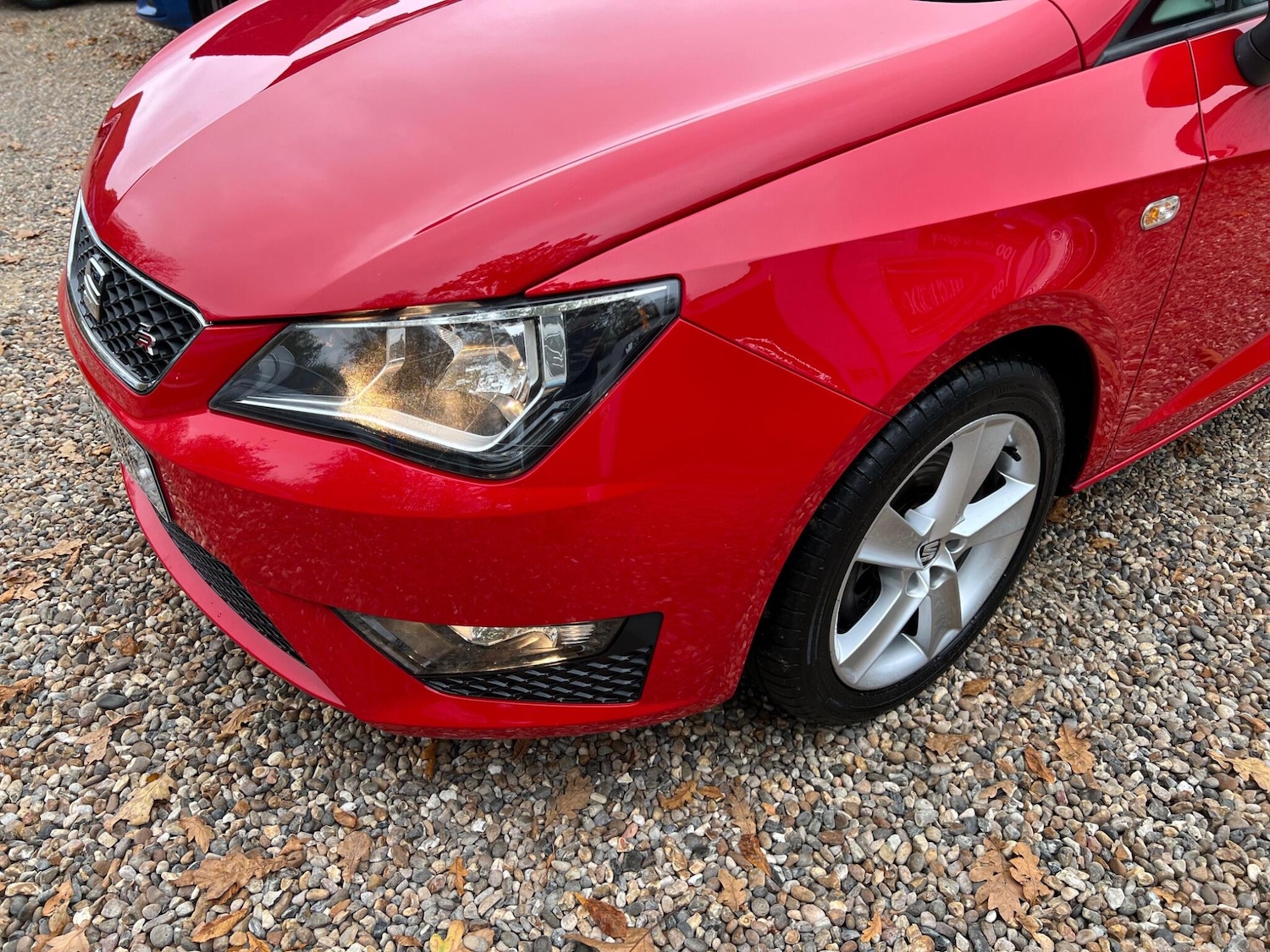 Used SEAT Ibiza 2016 for sale - 76997507: Photo 18