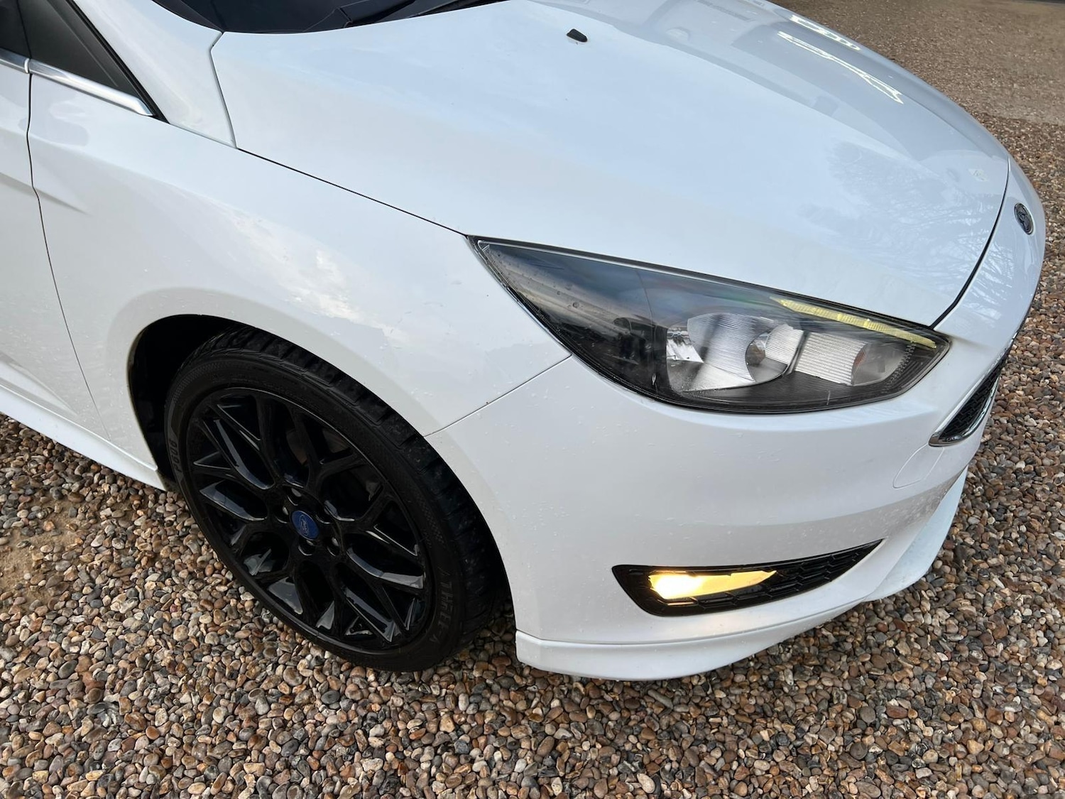 Used Ford Focus 2016 for sale - 76647551: Photo 21