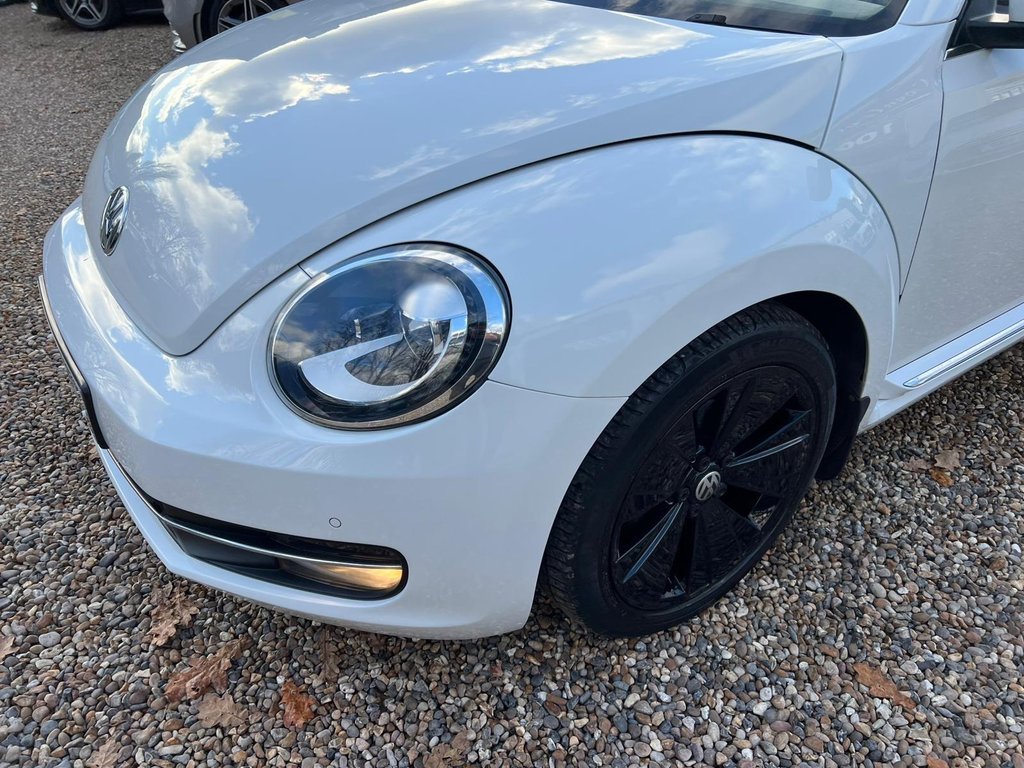 Used Volkswagen Beetle 2015 for sale - 77729918: Photo 18