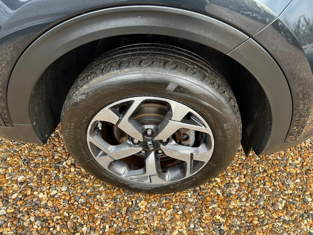 Used Kia Sportage 2019 for sale - 77729906: Photo 35