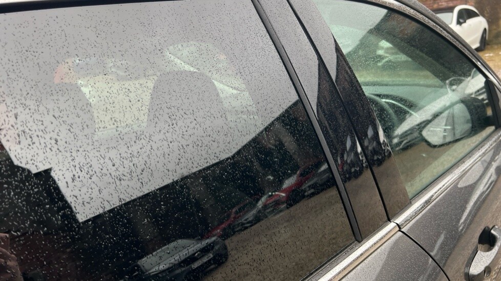 Used Ford Kuga 2023 for sale - 76434812: Photo 42