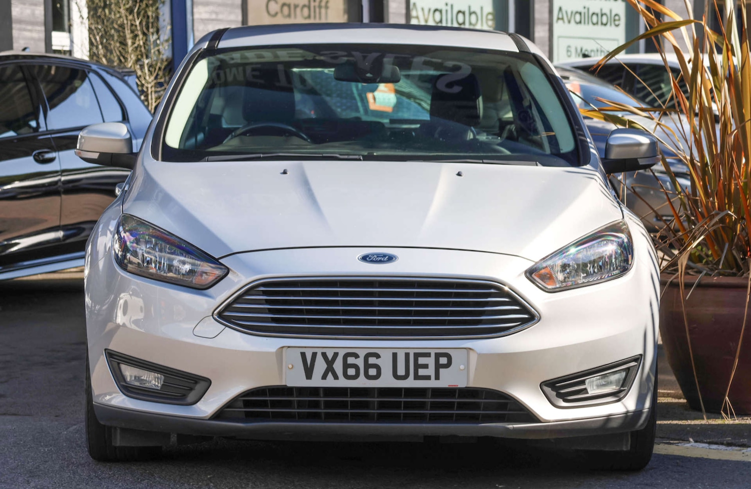 Used Ford Focus 2016 for sale - 76068163: Photo 3