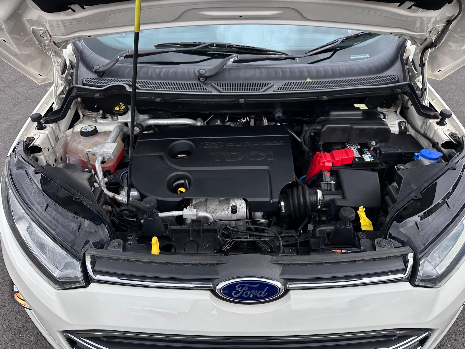 Used Ford Ecosport 2014 for sale - 76990532: Photo 23