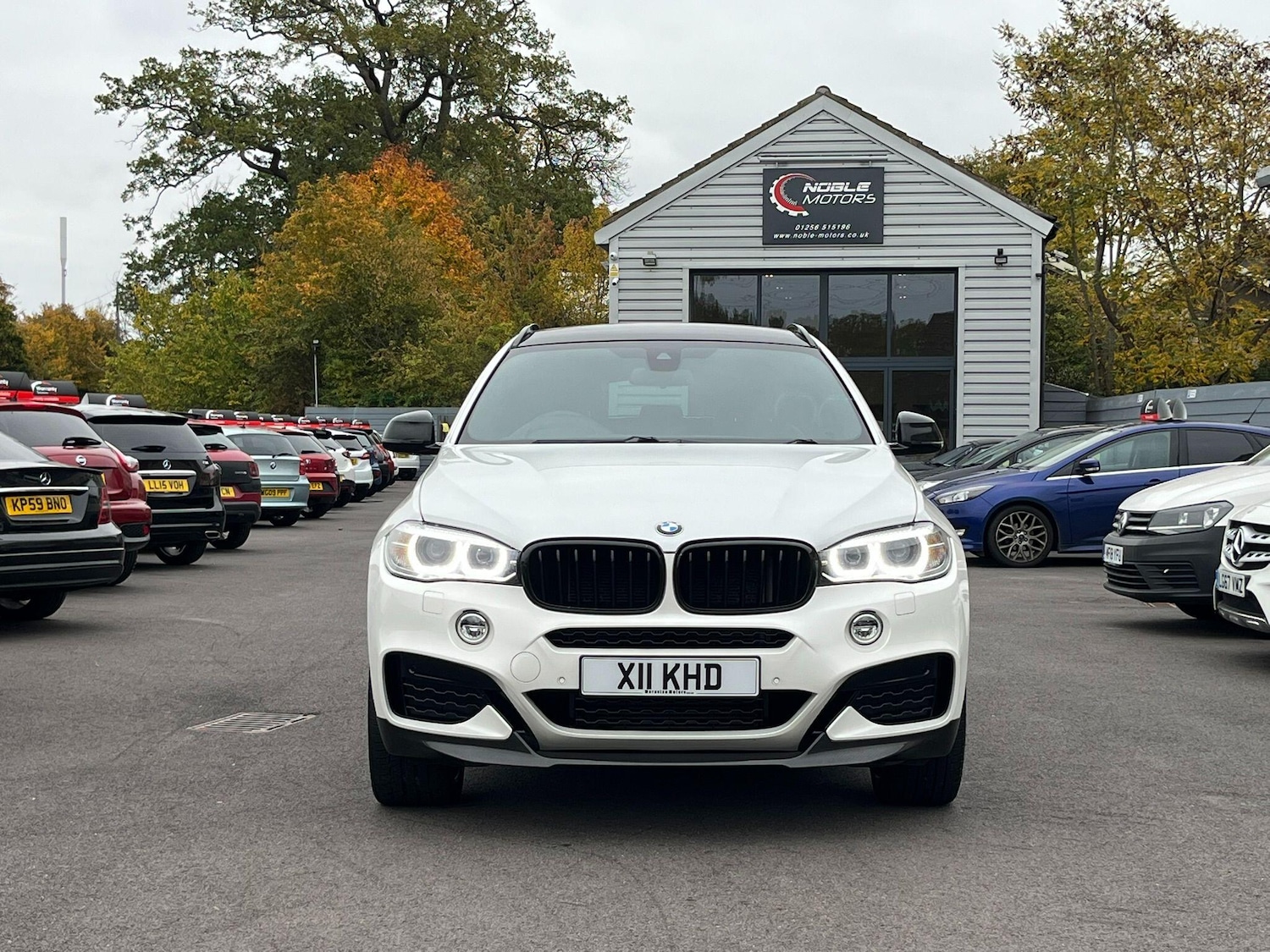 Used BMW X6 for sale - 76729036: Photo 2