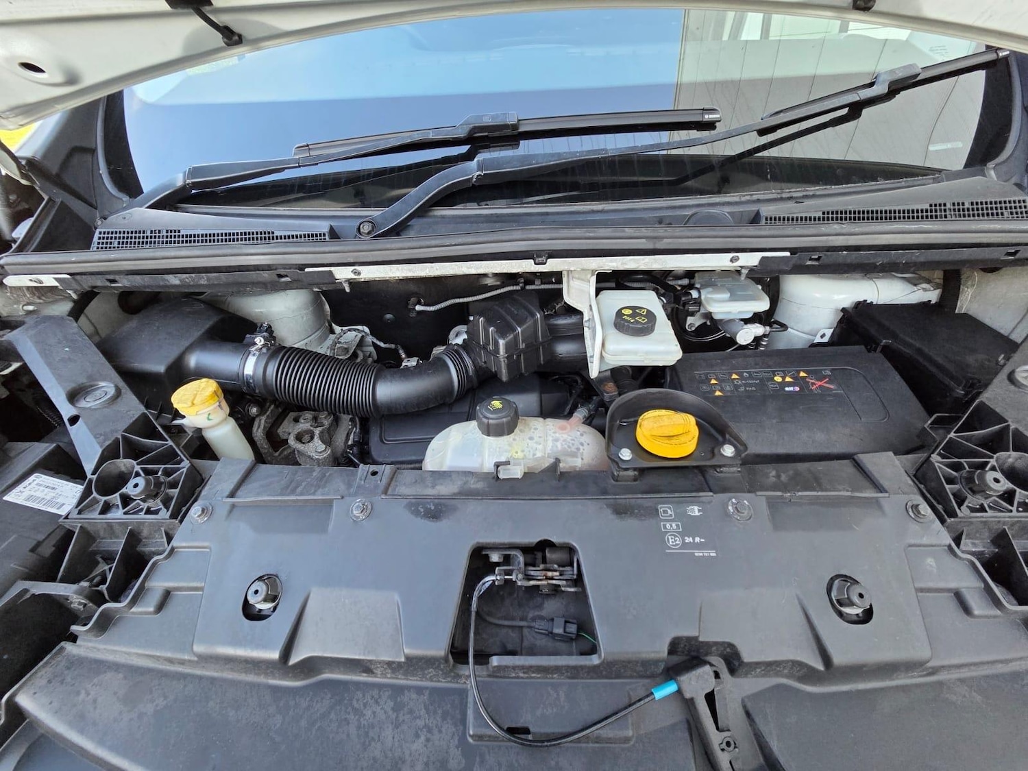 Used Renault Trafic for sale - 77754226: Photo 43