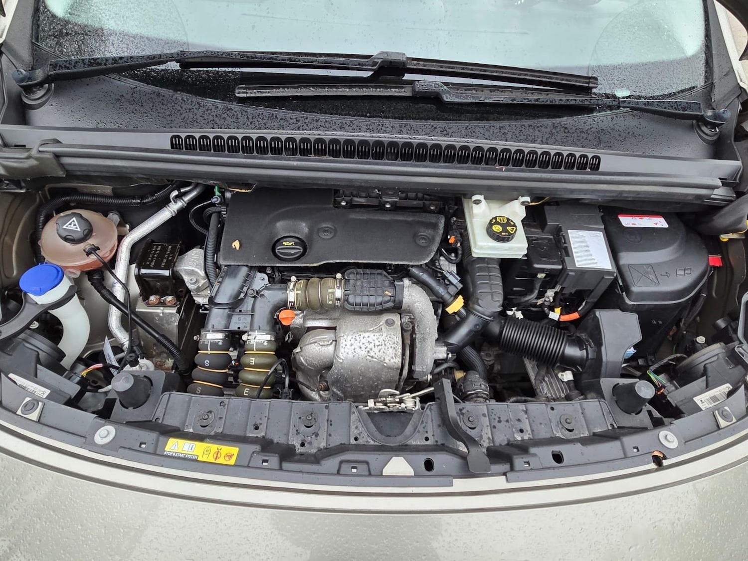 Used Peugeot 3008 2017 for sale - 77537762: Photo 36