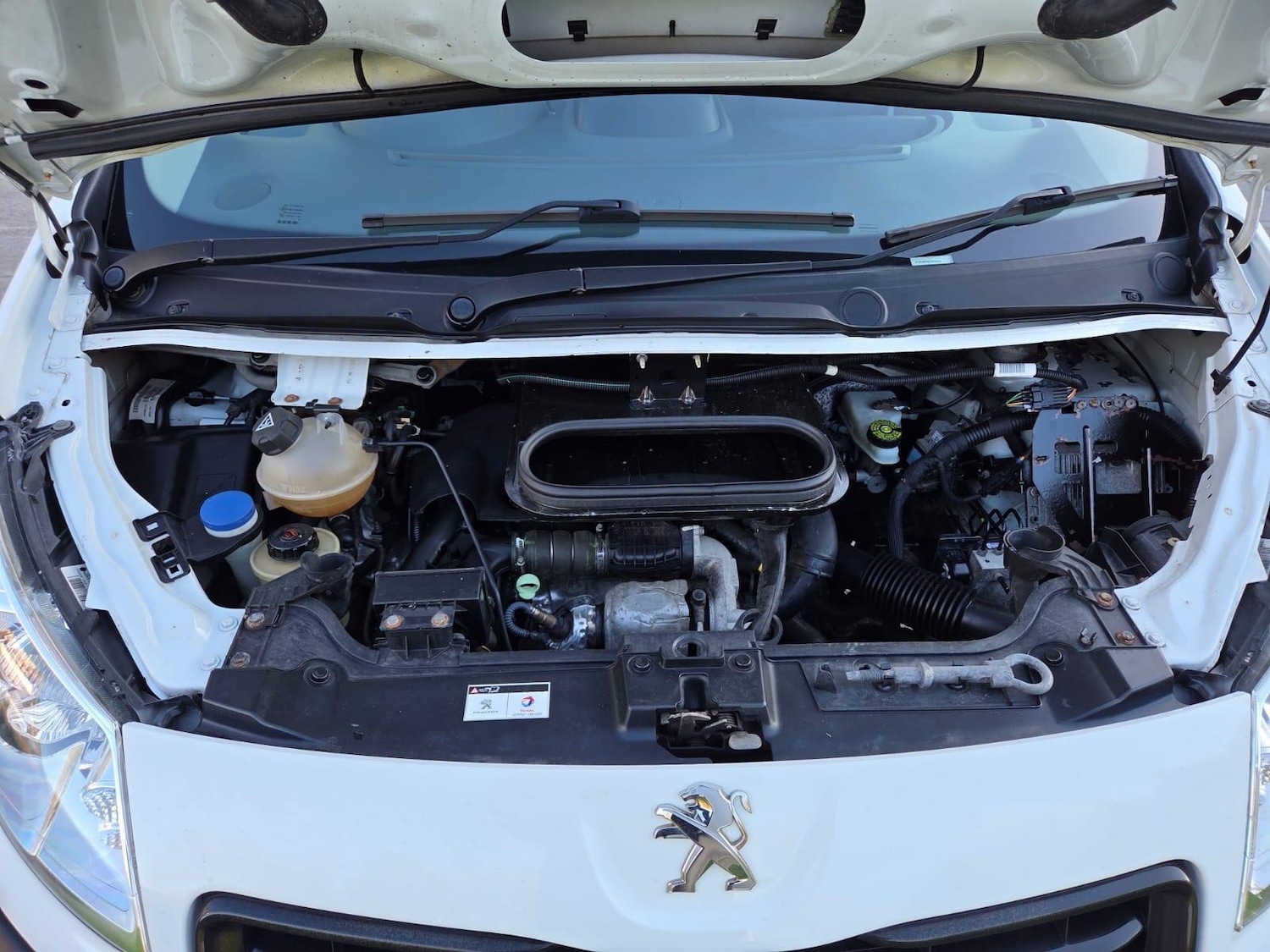 Used Peugeot Expert 2016 for sale - 76607789: Photo 14