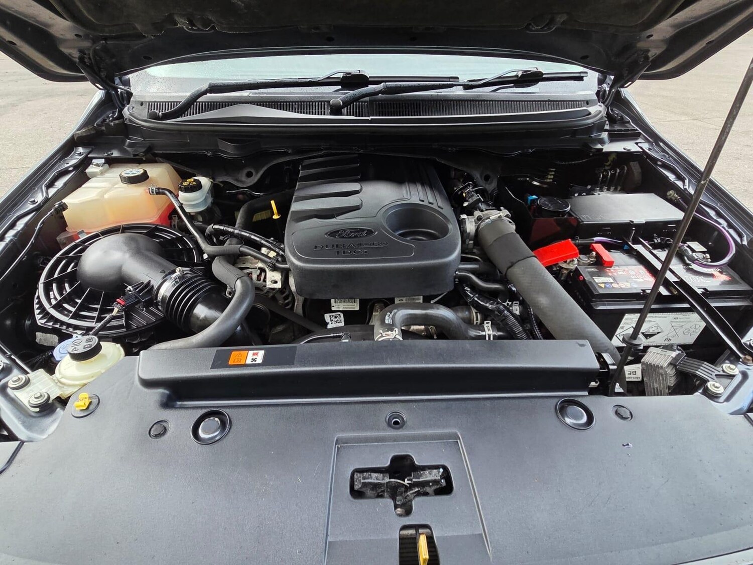 Used Ford Ranger 2014 for sale - 76389319: Photo 55