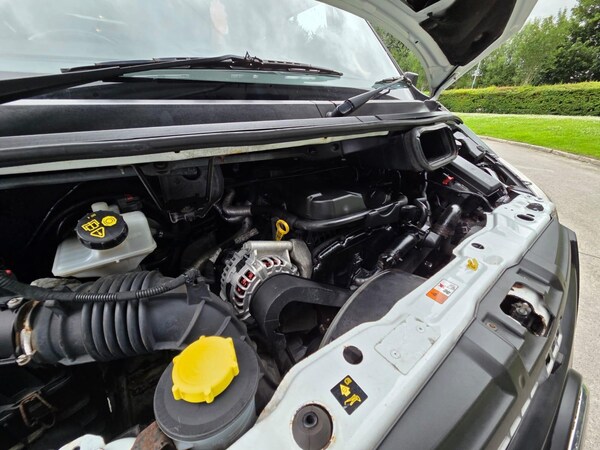 Used Ford Transit 2013 for sale - 75214650: Photo 31