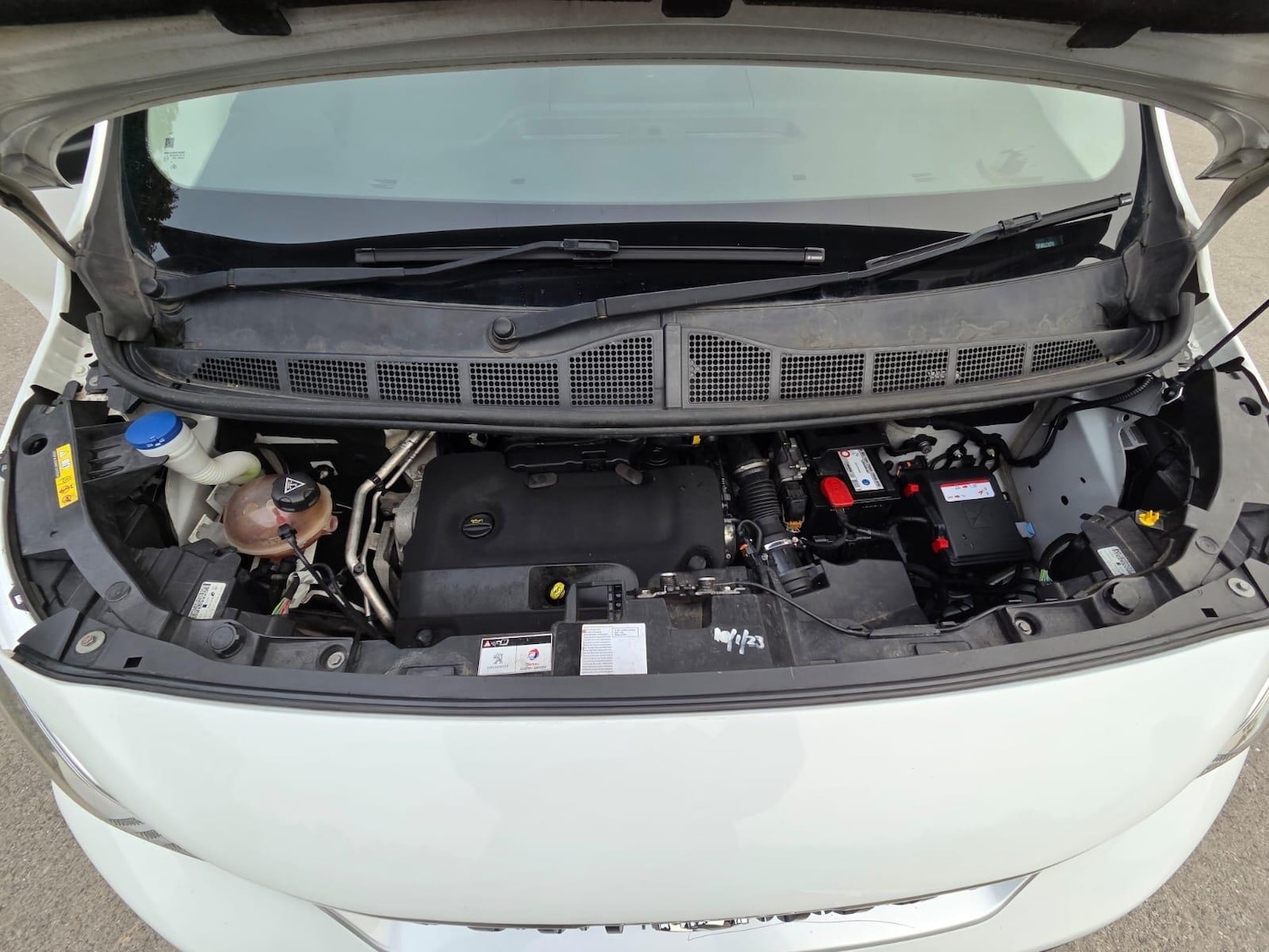 Used Peugeot Expert 2018 for sale - 76259394: Photo 18