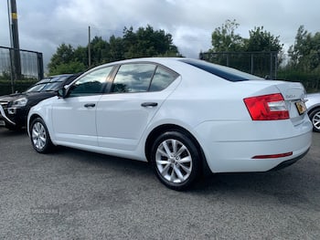 Used Skoda Octavia 2017 for sale - 79846296: Photo