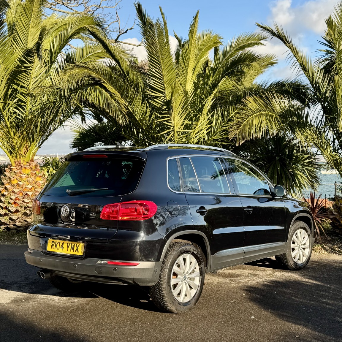 Used Volkswagen Tiguan 2014 for sale - 77107696: Photo 3