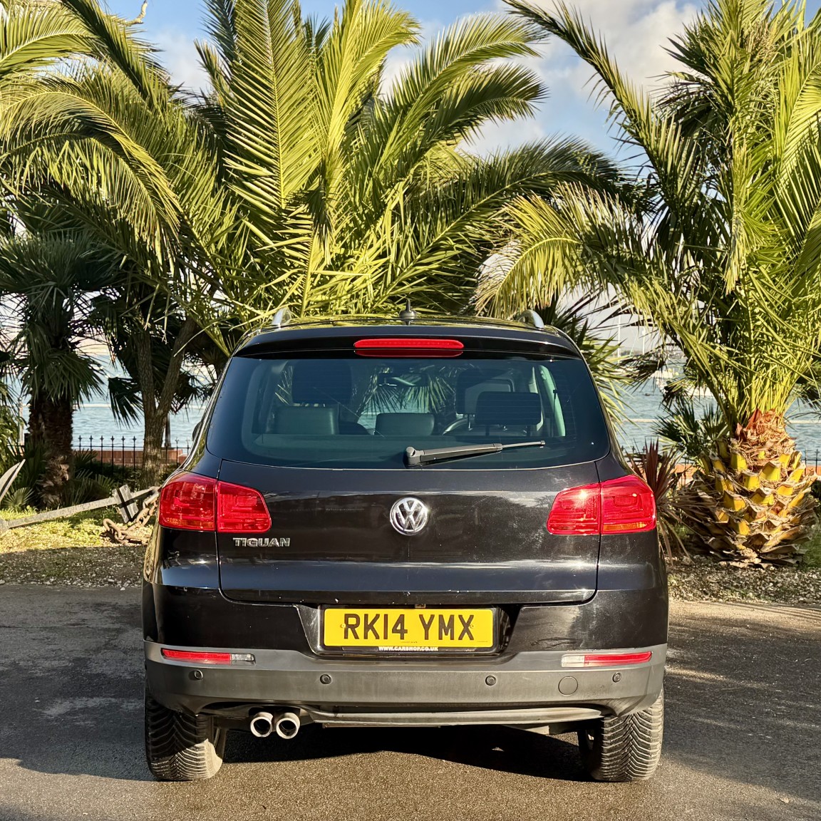 Used Volkswagen Tiguan 2014 for sale - 77107696: Photo 4