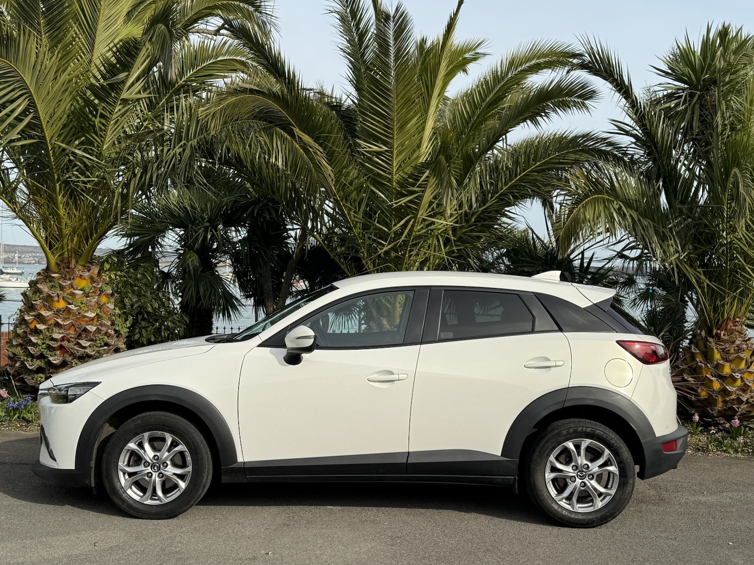 Used Mazda CX-3 2016 for sale - 77650054: Photo 6