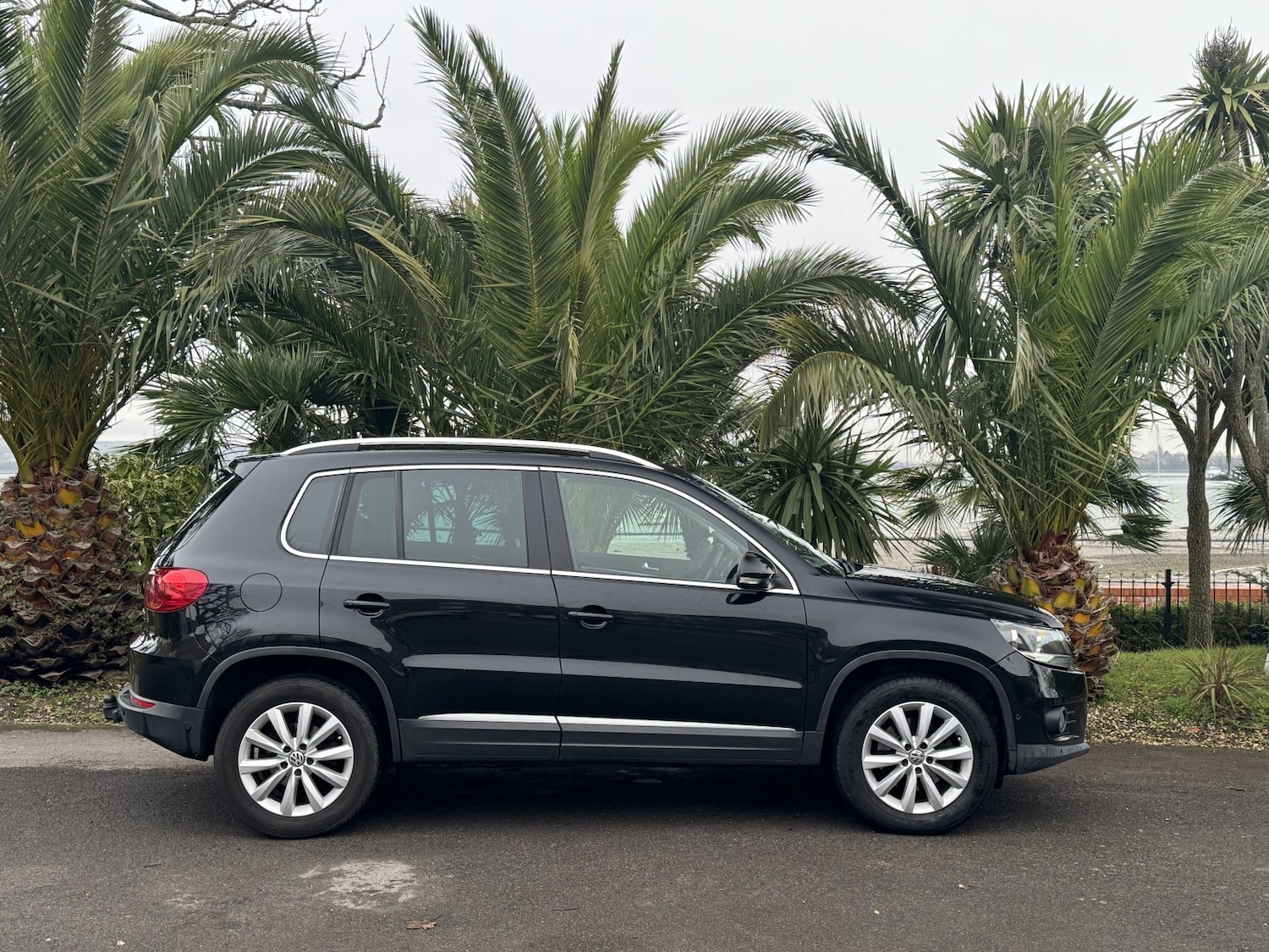 Used Volkswagen Tiguan 2015 for sale - 77213411: Photo 2