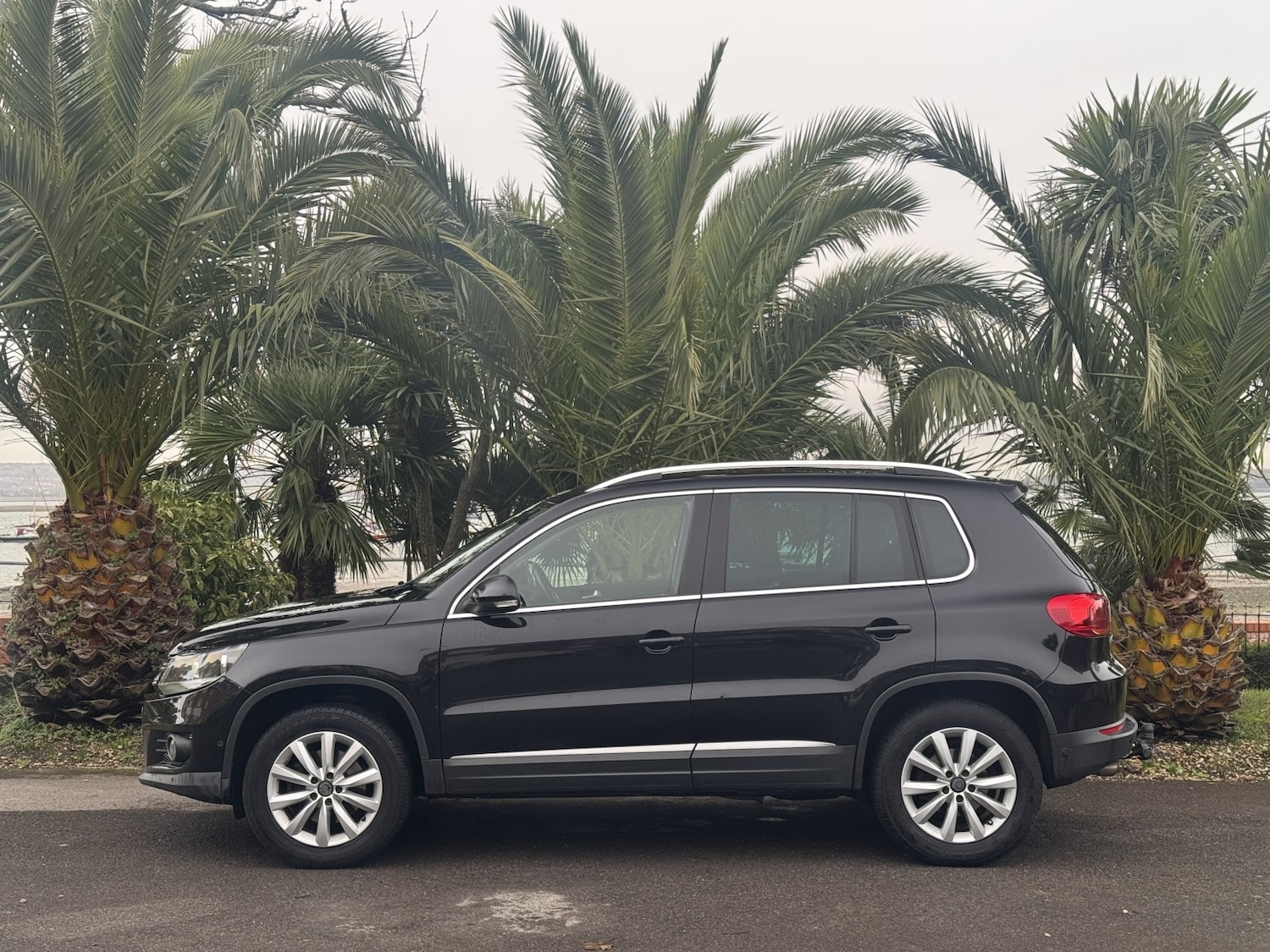 Used Volkswagen Tiguan 2015 for sale - 77213411: Photo 6