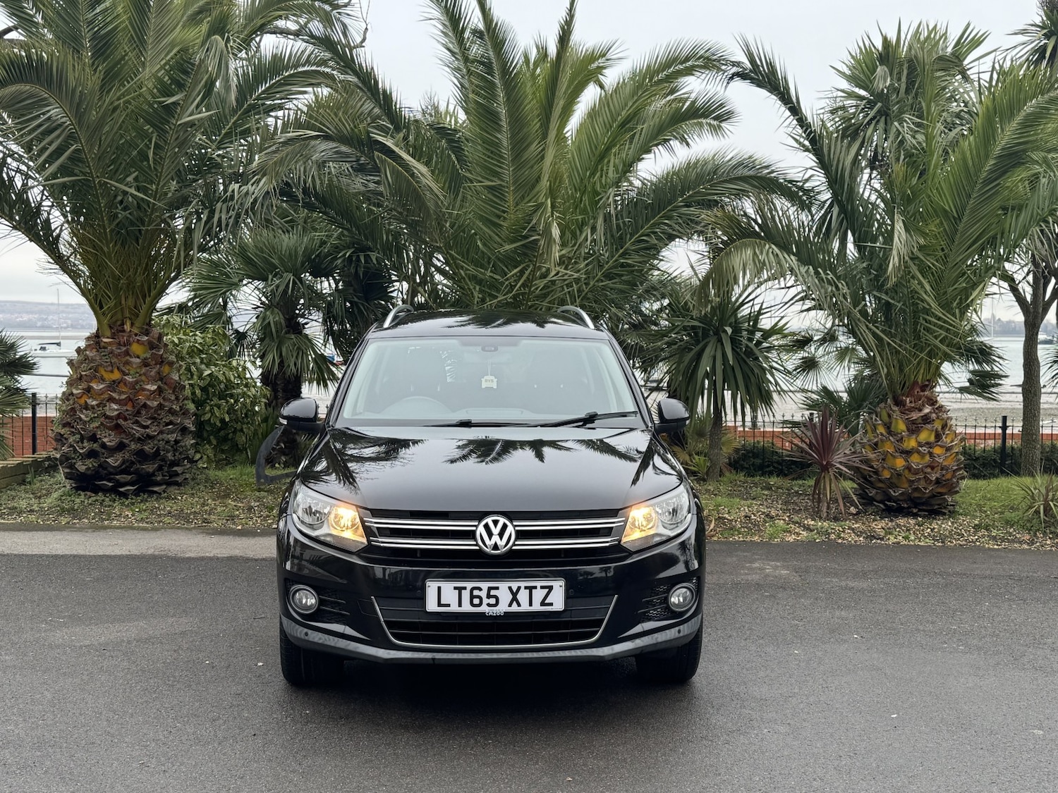 Used Volkswagen Tiguan 2015 for sale - 77213411: Photo 8