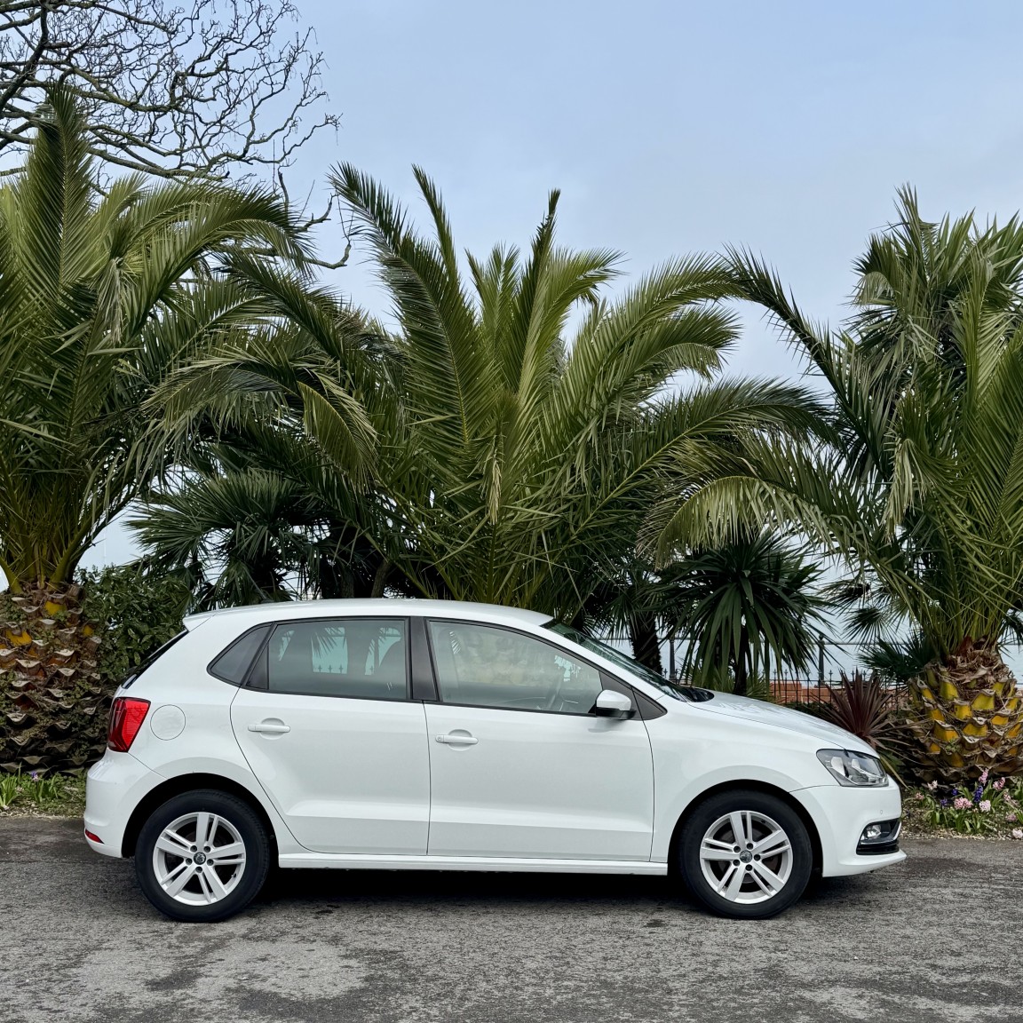 Used Volkswagen Polo 2016 for sale - 77807145: Photo 2